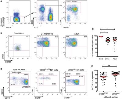 CD161 Defines a Functionally Distinct Subset of Pro-Inflammatory Natural Killer Cells